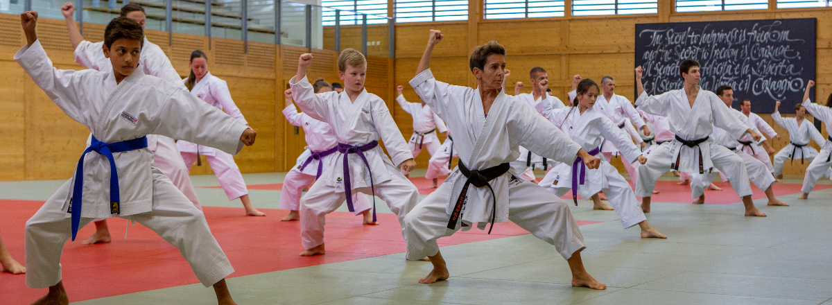 Karate im Budokan Wels