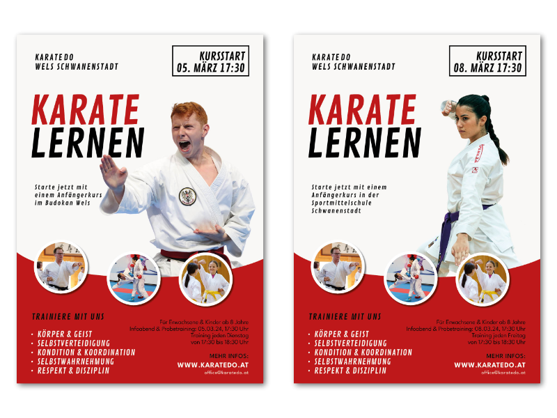 karate lernen mit anfaengerkurs in wels und schwanenstadt