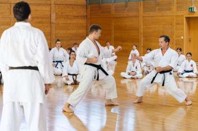 Karate Kokoro Lehrgang Budokan