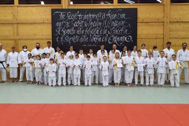 Karate lernen in Wels und Schwanenstadt