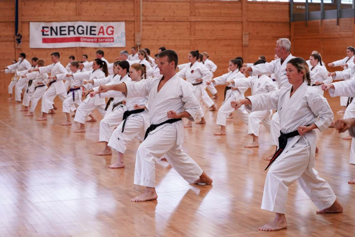 Karate Lehrgang im Budokan Wels mit Dario Marchini