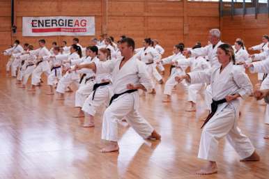 Karate Lehrgang im Budokan Wels mit Dario Marchini