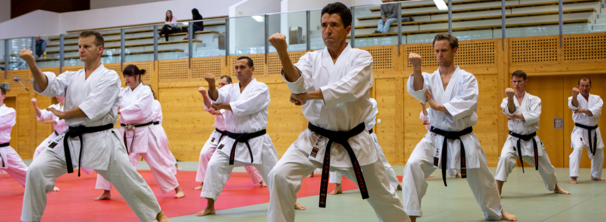 Karate Wels Schwanenstadt